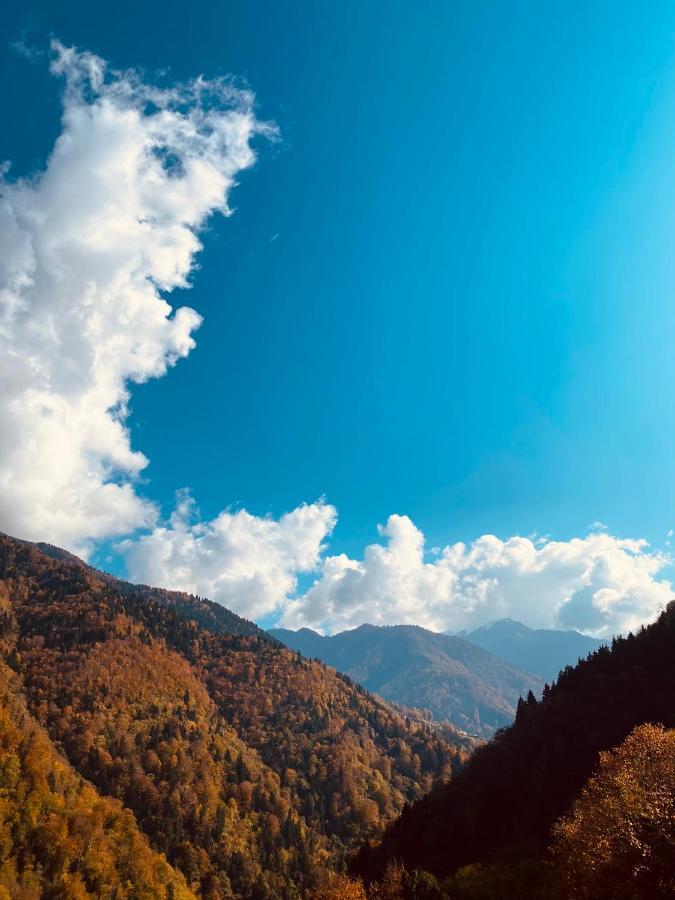 Seyr-I Cennet Dag Evleri Camlihemsin Exterior foto