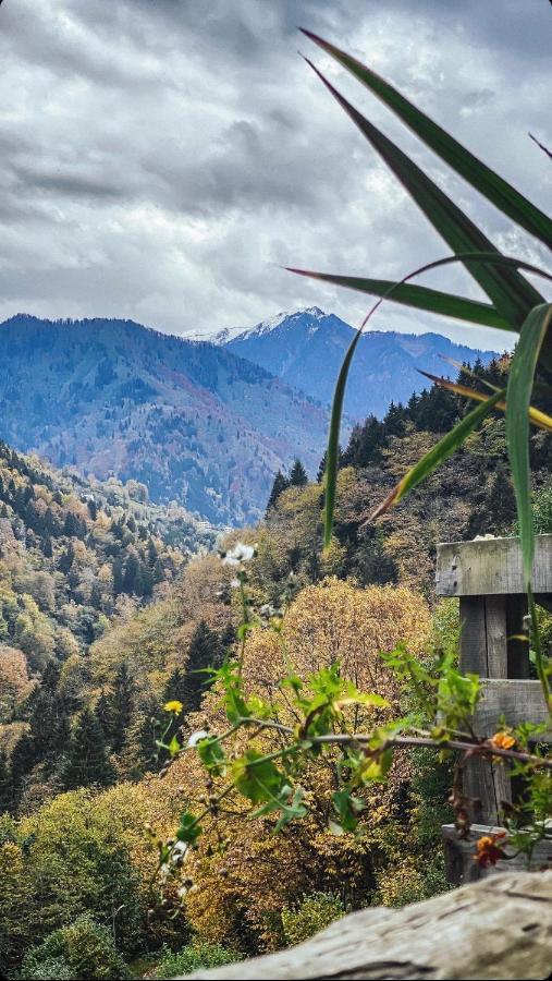 Seyr-I Cennet Dag Evleri Camlihemsin Exterior foto